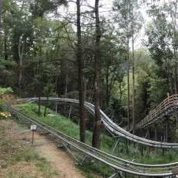 Moonshine Mountain Coaster