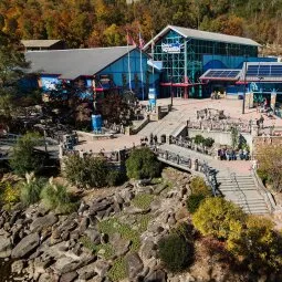 Ripley's Aquarium of the Smokies