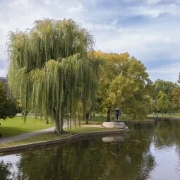 Boston Common