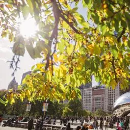 Millennium Park and Cloud Gate