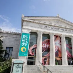 Shedd Aquarium