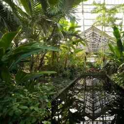 Garfield Park Conservatory