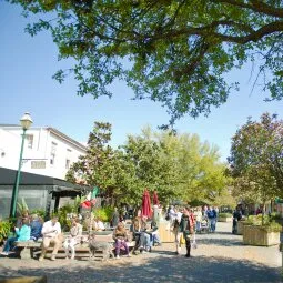 Savannah City Market