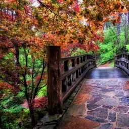 Garvan Woodland Gardens