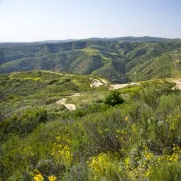 Laguna Coast Wilderness Park