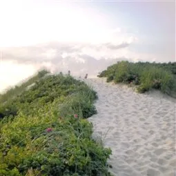 Jetties Beach