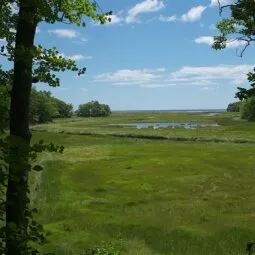 Rachel Carson National Wildlife Refuge