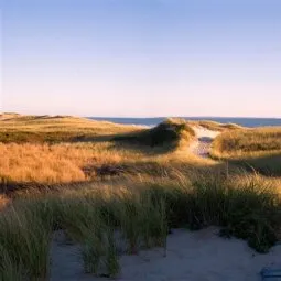 Martha's Vineyard Beaches