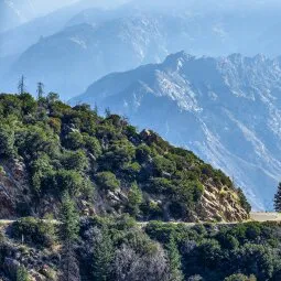 Kings Canyon Scenic Byway