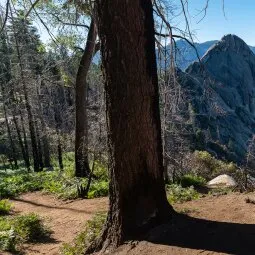 Sequoia National Park Hiking