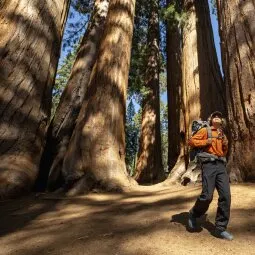 Sequoia National Park Camping