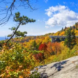 Drive along the Blue Ridge Parkway