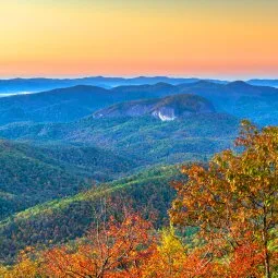 Pisgah National Forest