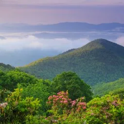 Mount Mitchell State Park