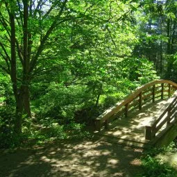 Botanical Gardens at Asheville