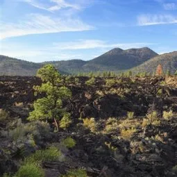 Sunset Crater Volcano National Monument