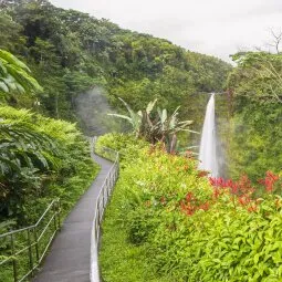 'Akaka Falls State Park