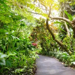 Hawai'i Tropical Bioreserve & Garden