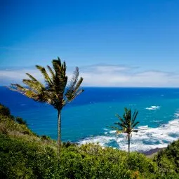 Pololu Valley Lookout