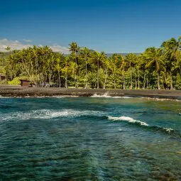 Punalu'u Black Sand Beach