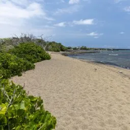 Kaloko-Honokohau National Historic Park