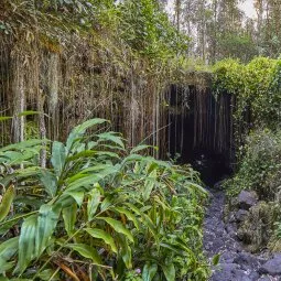 Kaumana Caves