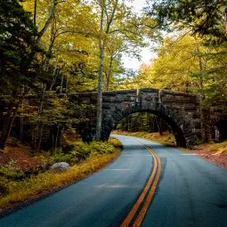 Carriage Roads