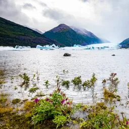 Spencer Glacier