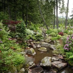 Alaska Botanical Garden