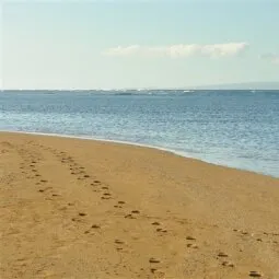 Shipwreck Beach