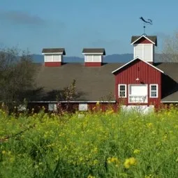 Frog's Leap Winery