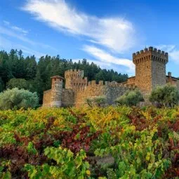 Castello di Amorosa