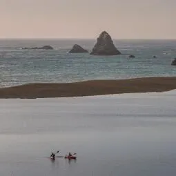 Sonoma Coast State Park