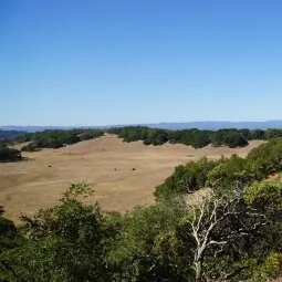 Trione-Annadel State Park