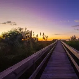 Isle of Palms County Park