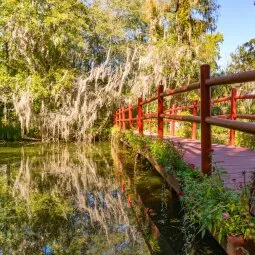 Magnolia Plantation & Gardens