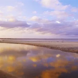 Folly Beach