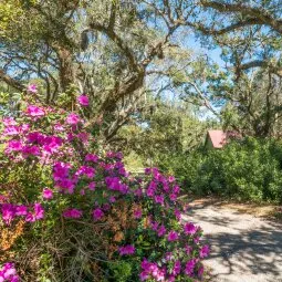 McLeod Plantation Historic Site