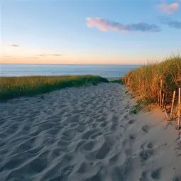 Cape Cod National Seashore