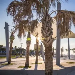 Gulf Shores Public Beach