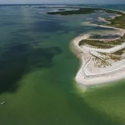 Honeymoon Island State Park