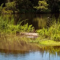 Moccasin Lake Nature Park