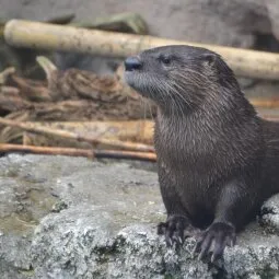 North Carolina Aquarium on Roanoke Island