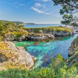 Point Lobos State Natural Reserve