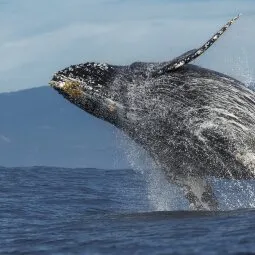 Monterey Bay National Marine Sanctuary