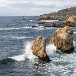 Garrapata State Park