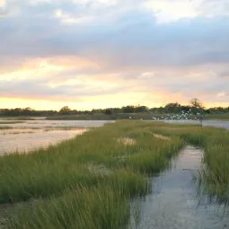 South Cape May Meadows