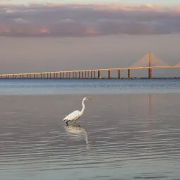 Fort De Soto Park