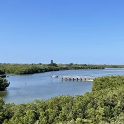 Weedon Island Preserve