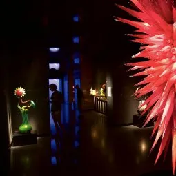 Chihuly Collection